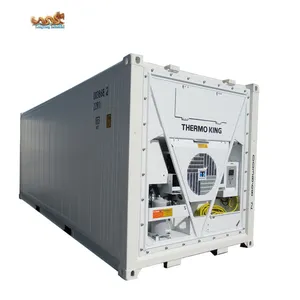 Mới Và Sử Dụng 20 Chân Tủ Lạnh 20ft 20 Ft Chiều Dài Lạnh Lạnh Tủ Đông Container Với Thermoking Mát