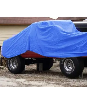 Customize Size PE Rainproof Tarpaulin Waterproof Truck Cover Double Side Lightweight Roof Cover