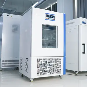 Incubatore di stampi BIOBASE cina 250L umidificazione Uv funzione battericida incubatore di muffa da laboratorio