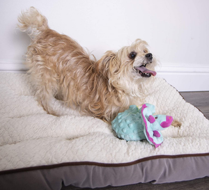 Jouet Indestructible pour chien, jouet en peluche amusant, résistant à l'eau, pour mordiller les molaires, OEM/ODM, jeu d'extérieur, 5 pièces - Product Image 4