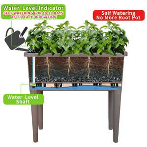 <span class=keywords><strong>Grande</strong></span> boîte à fleurs <span class=keywords><strong>rectangulaire</strong></span> de jardinage pour légumes d'extérieur Vertical surélevé <span class=keywords><strong>Jardinière</strong></span> en <span class=keywords><strong>plastique</strong></span> pour fleurs - Product Image 2