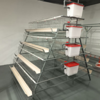 Système de cages en batterie de type A galvanisé à chaud pour l'élevage de poulets pondeurs en grande ferme avicole