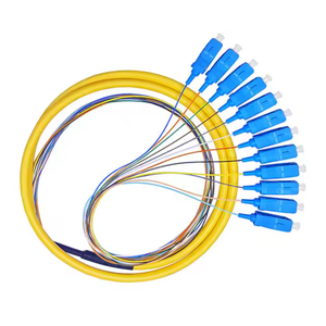 अनुकूलित 12-कोर बंडल वर्णटेल G657a1 G657a2 G657a2 G652d सिंगल मोड सिम्प्लेक्स 12 कोर पिंगटेल - Product Image 6