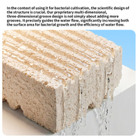 YEE Factory Vente en gros de média filtrant pour aquarium, briques de culture bactérienne céramique bio pour système de filtration d'aquarium