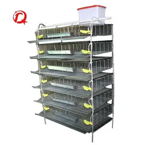 Wholesale H type quail breeding cages quail battery cages quail cage for sale
