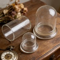 Vitrine en verre transparent artisanal à double compartiment pour bouteilles de mousse, destinée aux micro-paysages standard cultivés en environnements fermés