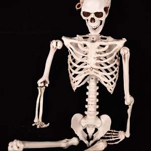 หน้ากากยางนักฆ่าปีศาจซอมบี้หน้ากากฮาโลวีนสมจริงคอสเพลย์สยองขวัญคาร์นิวัลน่ากลัวอุปกรณ์ประกอบงานปาร์ตี้ - Product Image 5