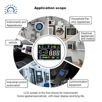 Módulo de Pantalla LCD de Calidad Premium OEM ODM con Iconos a Color para Inversores de Energía y Control de Electrodomésticos