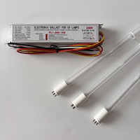 Ballasts électroniques pour lampes UV-C et stérilisateurs d'eau UV, 220V 80W 100W 120W 150W 800mA, modèle PL11-800-87