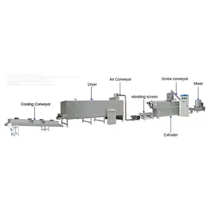 Ligne de Production de riz artificiel/machine de fabrication de riz instantané/ligne de production de riz de Nutrition en acier inoxydable