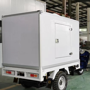 Triciclo Pequeño de Carga Refrigerado para Transporte a Combustible, Mini <span class=keywords><strong>Furgoneta</strong></span> Triciclo - Product Image 5