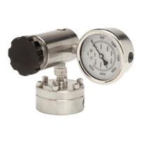 Régulateur de Pression Sous Vide EQUILIBAR EVR-GSD2A Importé d'Origine, Réducteur de Pression Contre-Courante, Origine États-Unis, Tension de Fonctionnement Sans Mémoire