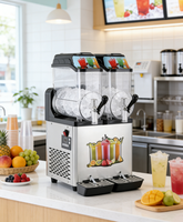 Machine à slush et à glace portable de qualité commerciale à deux réservoirs en acier inoxydable 12L X2