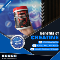 Creatina de Fresa en Polvo al por Mayor, Superalimento para la Vitalidad Muscular, Micronizada para Estilos de Vida Activos, Personalizable, OEM, Listo para Fabricar