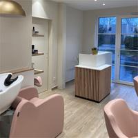 Lit de shampoing portable avec réservoir Chaise de shampoing de salon avec dos rose Lit de lavage à contre-courant avec tabouret roulant