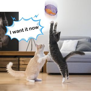 ของเล่นแมว Jecery Cat Spring 5 ชิ้น ของเล่นออกกำลังกายแบบอินเทอร์แอคทีฟหลากสีทำจากโลหะ สำหรับแมวในบ้าน แก้เบื่อ - Product Image 6