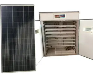 High Hatching Rate Reach 98% Incubator Solar Power Chicken Cheapest Solar Eggs Incubator Hatcher