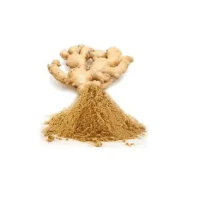 Best Selling High Quality Indian Exporter's Pure and Natural <b>Ginger</b> Dry Extract Powder for Food and Flavor Making - Product Image 1