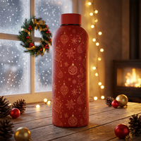 Cadeaux d'Halloween, de Noël et de Thanksgiving, vente en gros personnalisée, bouteille d'eau sport en acier inoxydable à double paroi de 500 ml avec logo personnalisé
