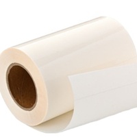 Rouleau d'étiquettes adhésives brillantes PP pour imprimante couleur Memjet Afinia L801 L901 VIPCOLOR VP700 VP650, 8,5'' x 500 pieds/rouleau