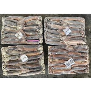 Calamari Congelati Naturali a Basso Prezzo, Fornitore di Calamari Illex Congelati U3 - Product Image 2