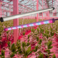 Hangende Groente Led Kweeklamp Voor Vruchtsla Dragon Fruit Patiya Tomaten Komkommers Plant Led Licht 4ft 120W