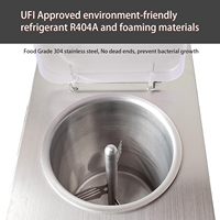 Machine de pasteurisation du lait 30L-60L à succès avec système de refroidissement, machine à mûrir la crème glacée, homogénéisateur, pasteurisateur de lait et de yaourt