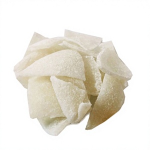 Carne de Coco Deshidratada Premium con Sabor Natural a Coco para Venta al por Mayor, Marca Privada y Mercados de Exportación Globales - Product Image 1