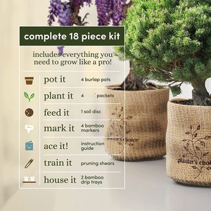 Kit de démarrage bonsaï de luxe avec 10 fentes sac en <span class=keywords><strong>toile</strong></span> verte ensemble d'outils de bonsaï de jardin en acier inoxydable <span class=keywords><strong>pour</strong></span> la décoration de la maison et la <span class=keywords><strong>plantation</strong></span> - Product Image 6