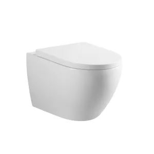 Mejor WC sanitaria inodoro cuarto de baño colgado en la pared de agua armario baño común oculto del tanque de agua