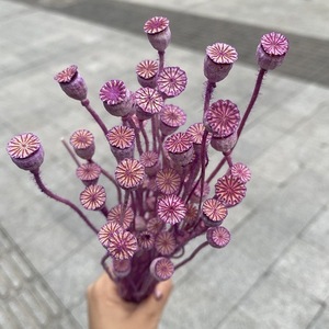 Flores Secas, Flor de Amapola Roja con Semillas, Amapola de Campo Teñida y Seca, Flores Preservadas para Diseño Floral, Arte Floral y Ramos - Product Image 3
