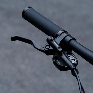 2026 NEU DFQ Hochwertige 29 Zoll Mountainbike Carbonfaser MTB Harte Vordergabel - Product Image 4