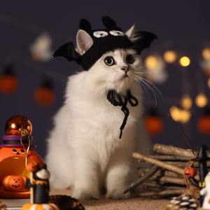 Conjunto de accesorios para mascotas de Halloween | Bufanda divertida <span class=keywords><strong>Collar</strong></span> de sombrero para gatos Perros, lindo traje de gato Ragdoll - Product Image 3