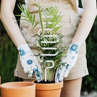 Offre Spéciale : Treillis en Acrylique Transparent Incurvé de 19,7 Pouces pour Plantes d'Intérieur/Extérieur – Piquets à Plantes Personnalisables en Couleurs pour Fournitures de Jardin