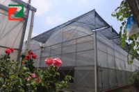 Système de construction de serres en film multi-chapelles à grande échelle