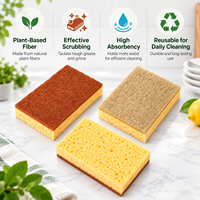 Éponge de nettoyage en sisal et fibre de coco avec couche exfoliante en fibres et éponge absorbante en cellulose, outil de nettoyage pour la vaisselle de cuisine