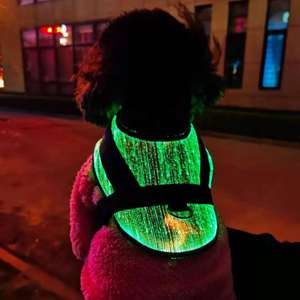 Roupas para cães de estimação em fibra óptica LED luminosa para uso em todas as estações disponíveis - Product Image 2