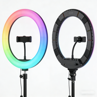 Anneau lumineux de 14 pouces pour ordinateur portable, bureau d'ordinateur |   Lampe vidéo LED à intensité variable pour réunions en ligne, webinaires, bureau à domicile (sans support)