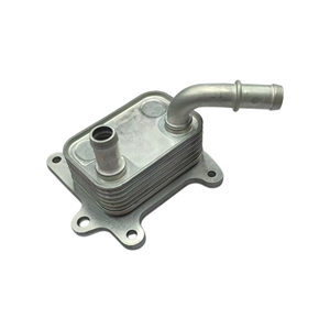 213053566R 21305-3566R Radiador de Refrigeración de Transmisión para Renault CLIO Dacia LOGAN <span class=keywords><strong>SANDERO</strong></span> - Product Image 5