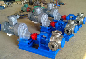 Bomba Rotativa Eléctrica de Malla Interna de Acero Inoxidable de Alta Resistencia Serie NYP para Fluidos de Alta Viscosidad con Reductor de Transmisión - Product Image 5