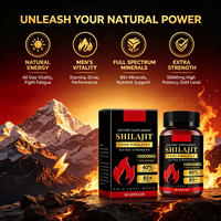 Capsules de Shilajit 1000mg, 60 unités, Complément Herbal, Fabricant OEM sous Marque Privée