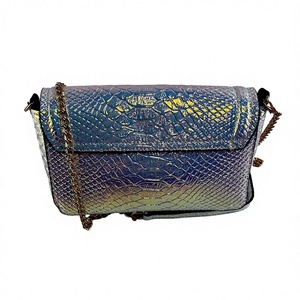 <span class=keywords><strong>Sac</strong></span> bandoulière mini pour femme, couleur arc-en-ciel métallique personnalisée, style preppy, avec chaîne dorée, étanche, portable, <span class=keywords><strong>à</strong></span> une seule sangle - Product Image 2