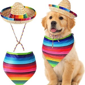 Ensemble de déguisement de canard mexicain pour véranda, canard blanc de 23 pouces, décoration de fête en plein air, décoration de fête, matériau polyester - Product Image 3