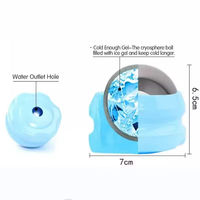 Système de dermaroller chaud et froid pour le visage, technologie de refroidissement cutané par massage facial froid, boule de glace en acier inoxydable pour soulager les douleurs musculaires