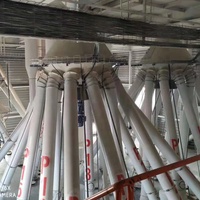 Ligne de production complète d'aliments en granulés 10 tonnes, usine de fabrication d'aliments pour volailles automatique avec silos de 500 tonnes