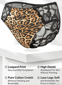 Slip da Donna di Alta Qualità con Stampa Leopardata, Vita Alta Elasticizzata, Sexy, Antistatici e Traspiranti - Product Image 2