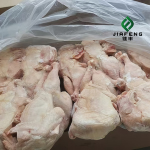 Healthy and Natural Special Price Whole Frozen <strong>Chicken</strong> with Full Specifications Available - Product Image 1