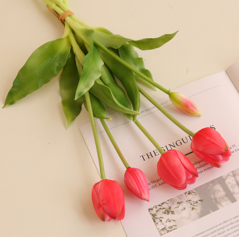 สีชมพูเข้ม