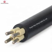 Kabel Daya Kelautan CEFR Berjaket Neoprena Tembaga Terpilin 0.6/1kV untuk Peralatan Kapal