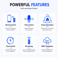 Module Wi-Fi, solution de passerelle Wi-Fi IR pour maison intelligente, Home Assistant, MQTT, OEM PCBA